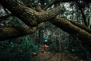 BIB: 
                            <button type="button" onclick="openModal(25708046)" class="btn btn-primary btn-sm float-right btn-popup" data-toggle="modal" data-target=".modal-high-quality">
                        <i class="fas fa-shopping-cart"></i> Add to Cart
                    </button>
                                            <button type="button" onclick="isThisMe(25708046, true)" class="btn btn-success btn-sm float-right btn-popup btn-isme hidden" data-toggle="tooltip" data-placement="bottom" title="นี่คือรูปของคุณใช่ไหม คลิกที่นี่เพื่อเอาเข้าอัลบั้ม">
                        <i class="fas fa-plus"></i> Add to album
                    </button>
                    <button type="button" onclick="isThisMe(25708046, false)" class="btn btn-warning btn-sm float-right btn-popup btn-isnotme hidden">
                        <i class="fas fa-ban"></i> Remove from album
                    </button>